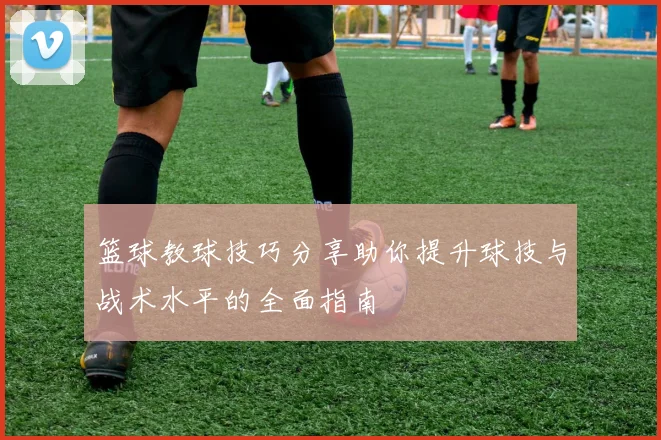 篮球教球技巧分享助你提升球技与战术水平的全面指南