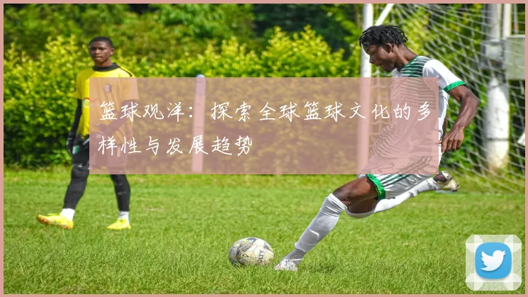 篮球观洋：探索全球篮球文化的多样性与发展趋势