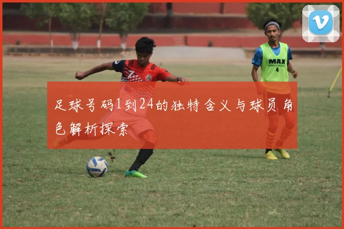 足球号码1到24的独特含义与球员角色解析探索