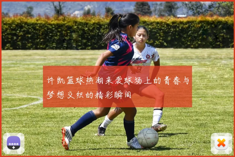 许凯篮球热潮来袭球场上的青春与梦想交织的精彩瞬间