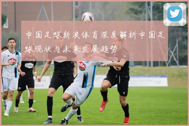 中国足球新浪体育深度解析中国足球现状与未来发展趋势