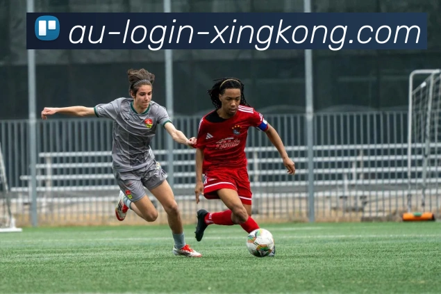 星空官网平台生态图